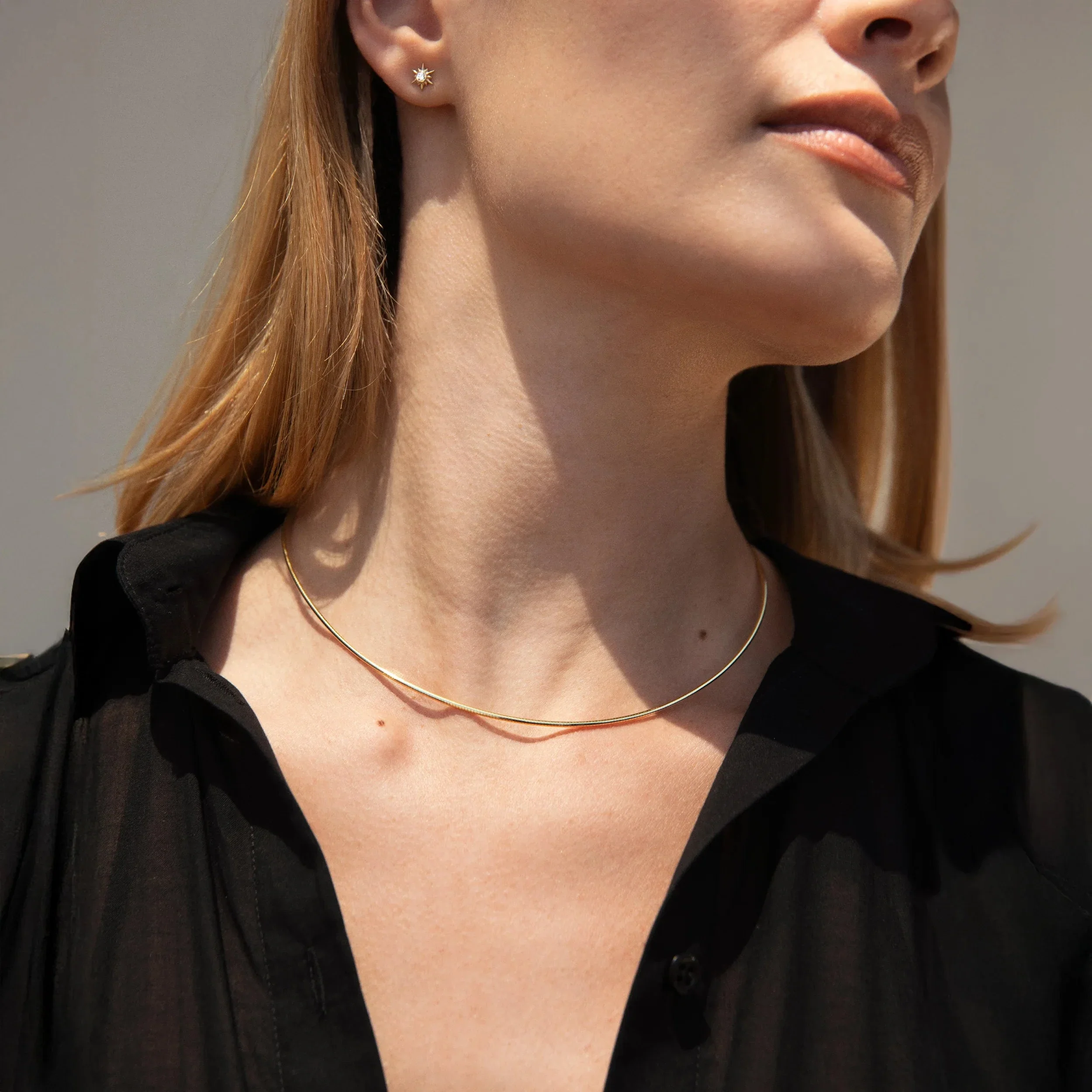 Omega Collar - Image 2
