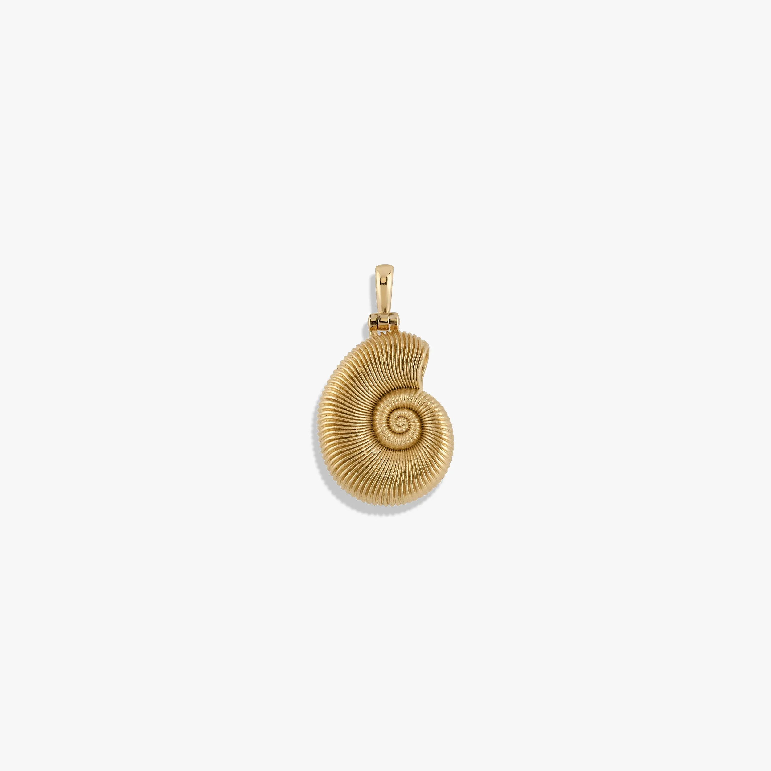 Deep Sea Ammonite Shell Pendant