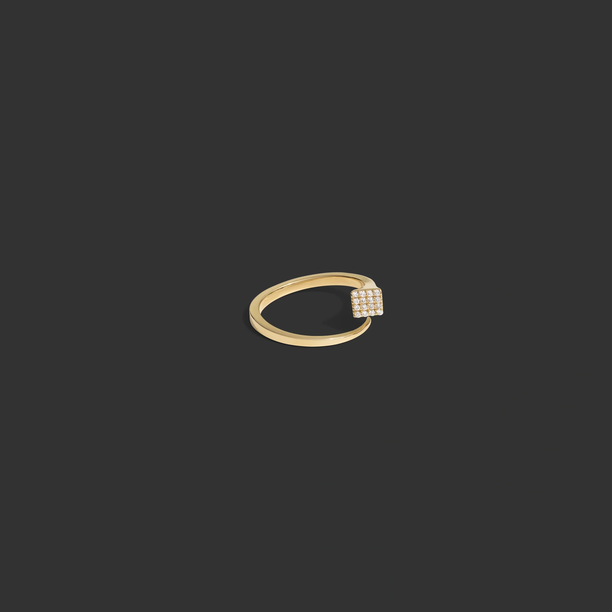 Horseshoe Nail Ring