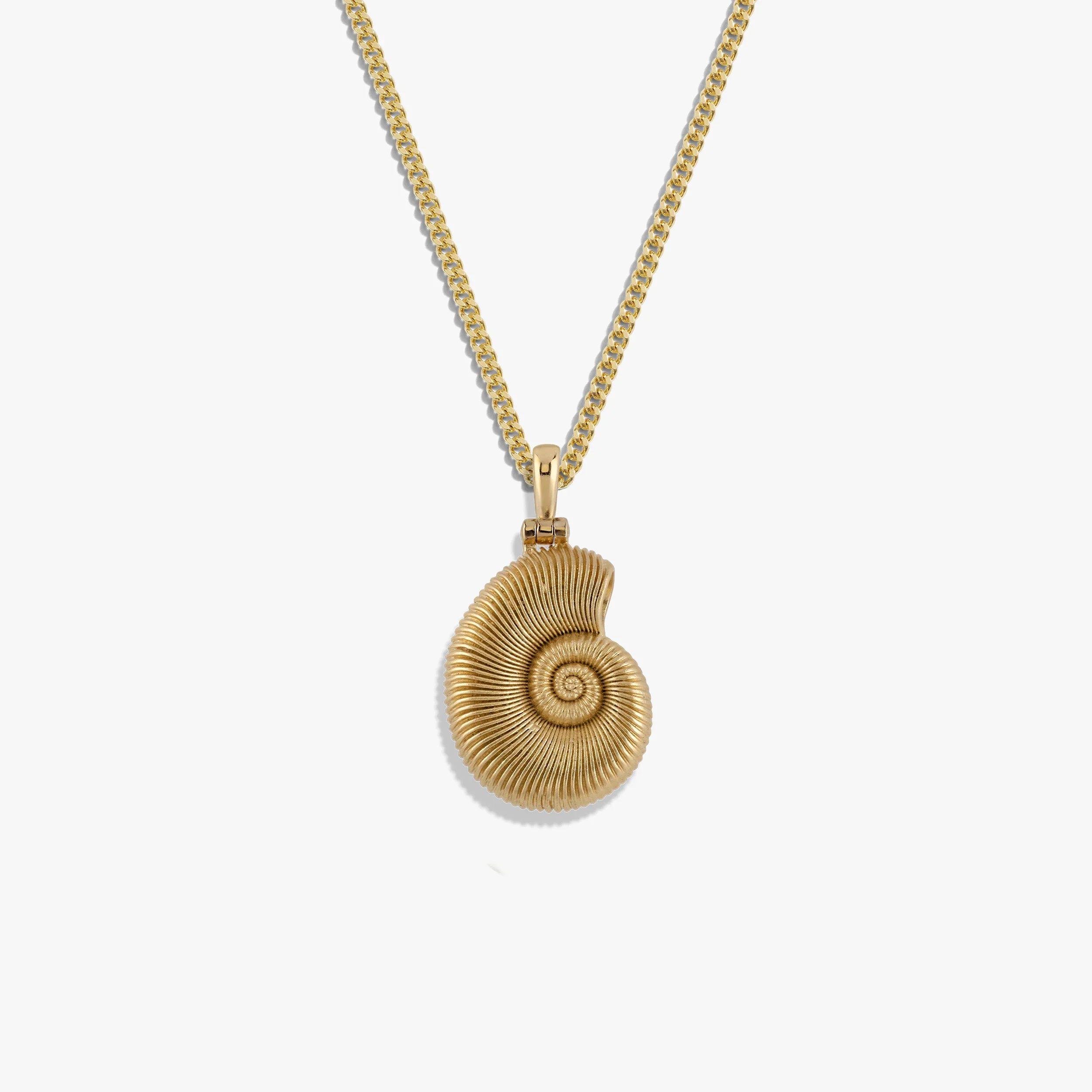 Men's Deep Sea Ammonite Shell Necklace