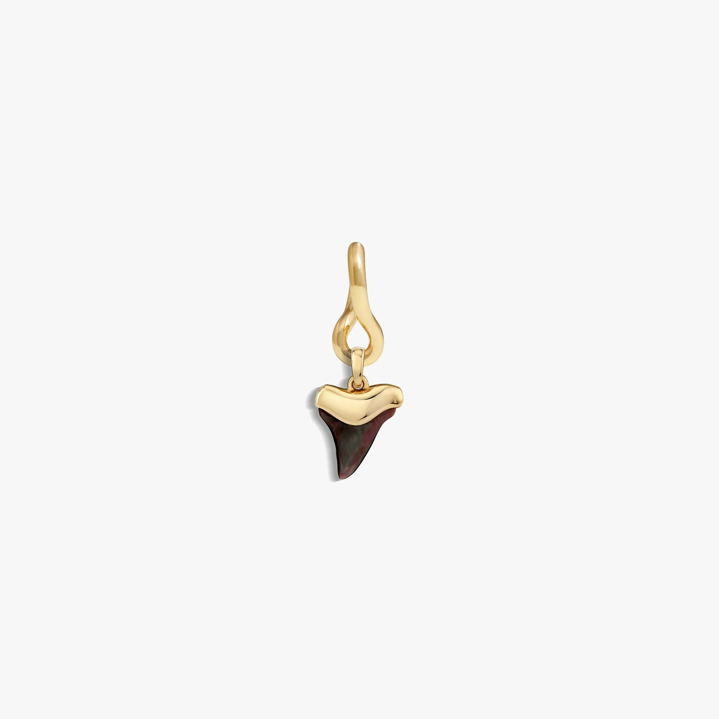 Men's Shark Tooth Earring - Image 3