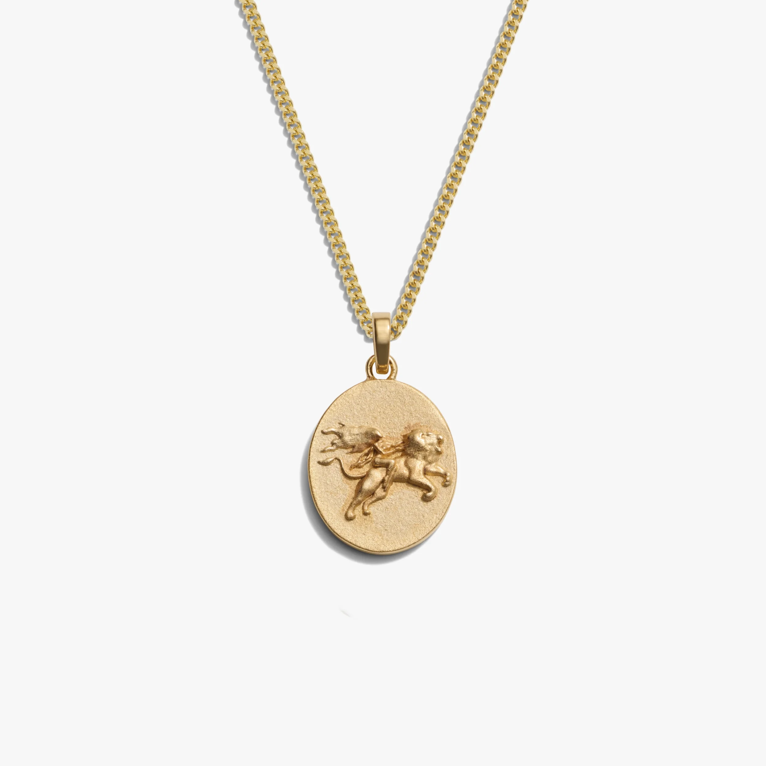 Men's Zodiac Necklace