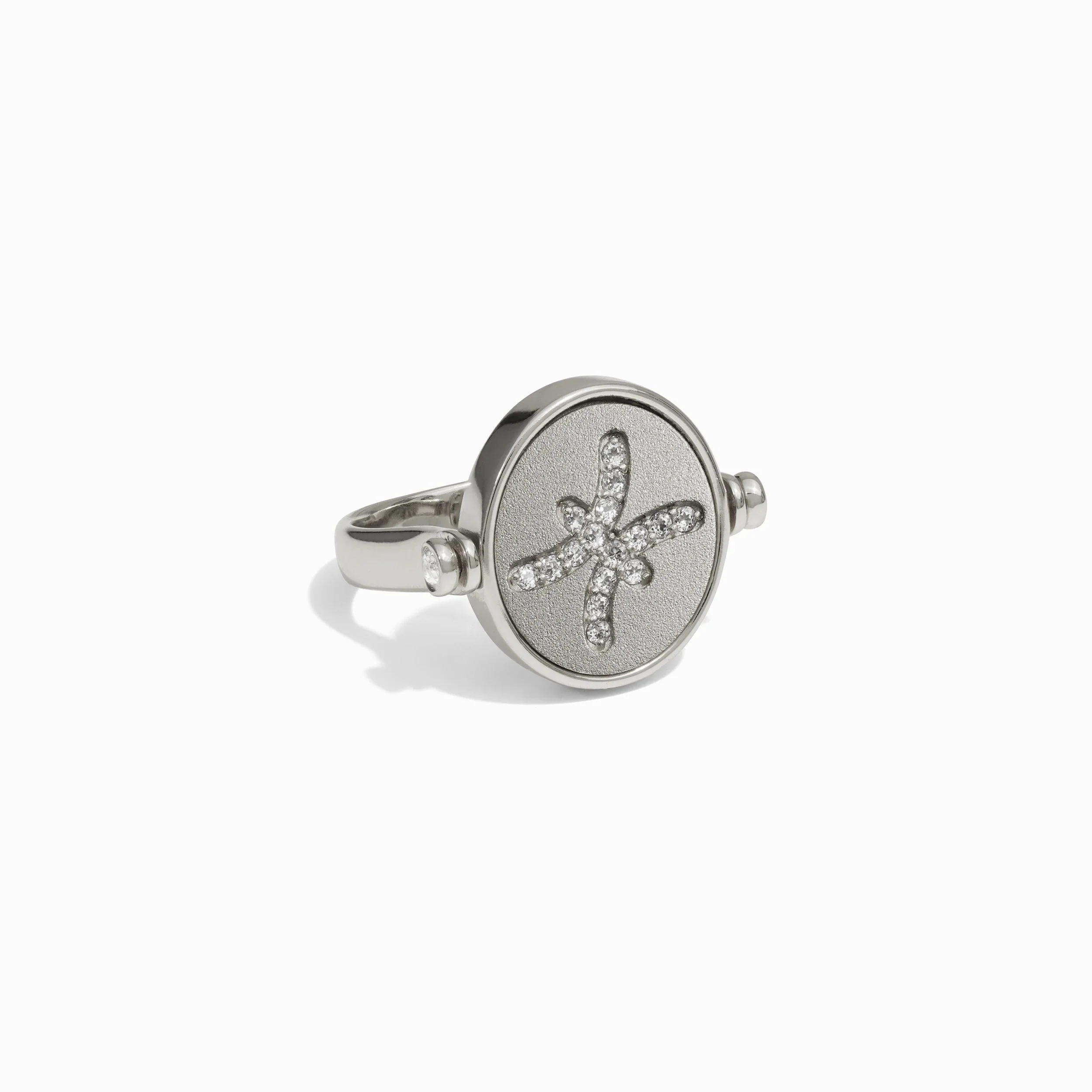 Pisces & Water Flip Ring - Image 6