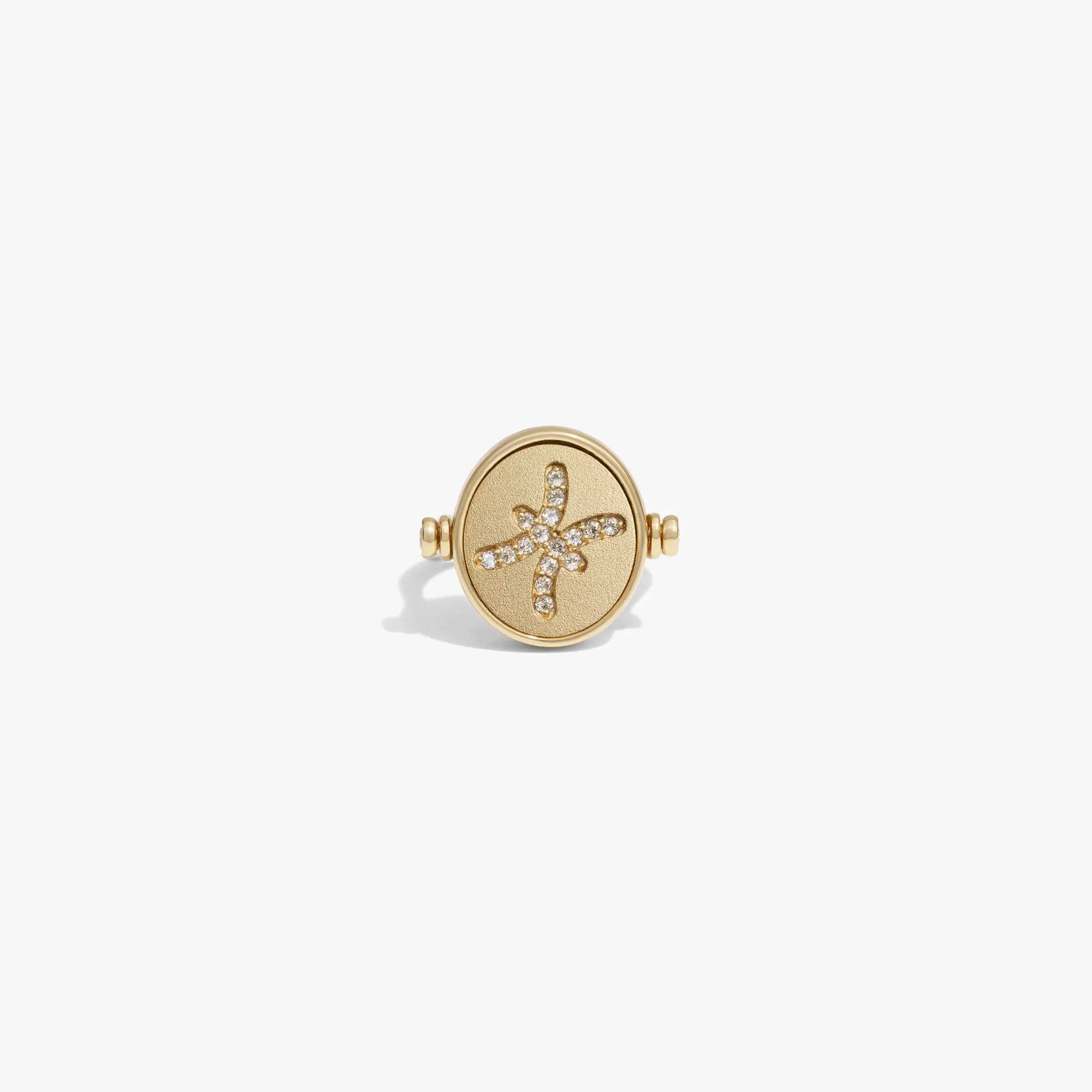 Pisces & Water Flip Ring - Image 9