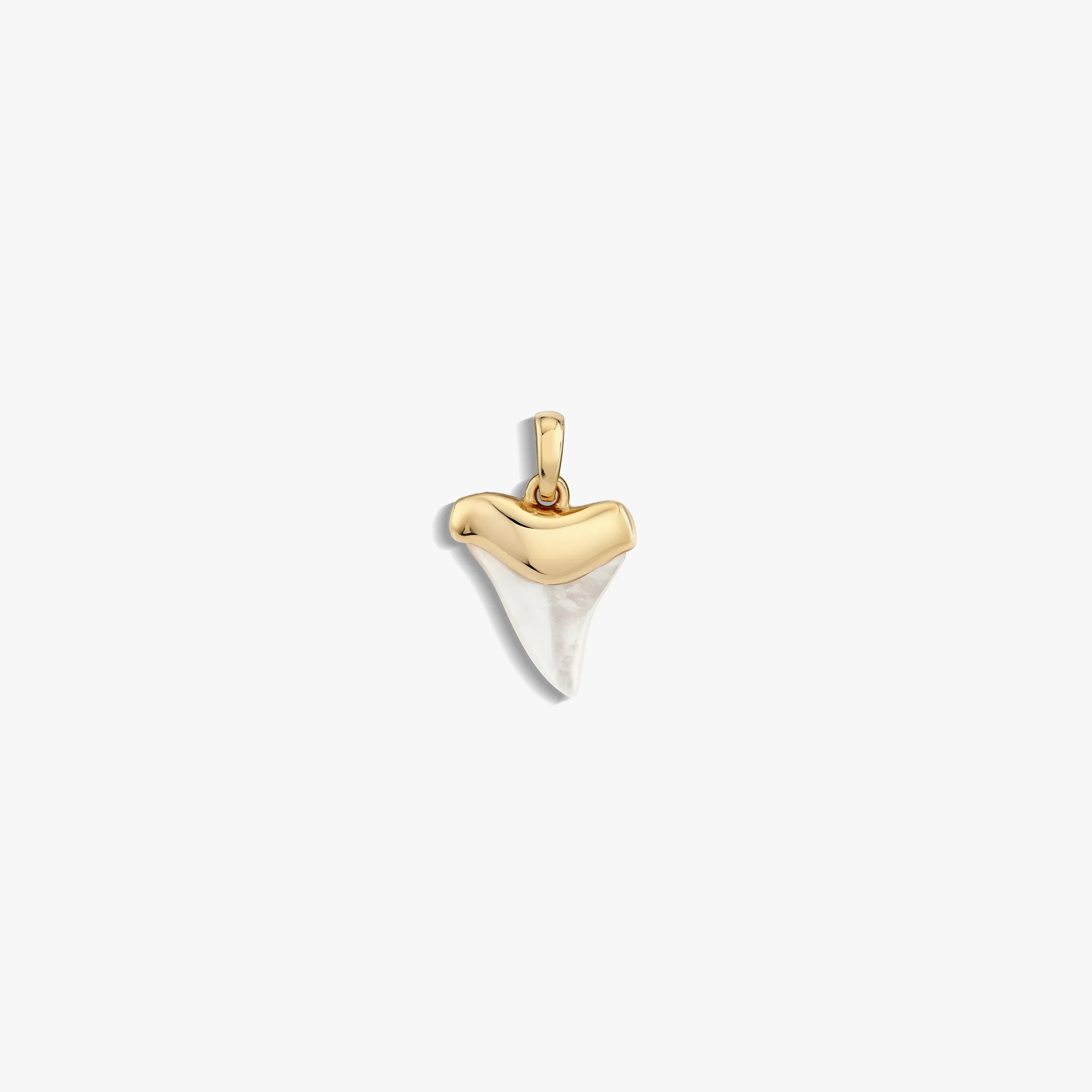 Shark Tooth Amulet