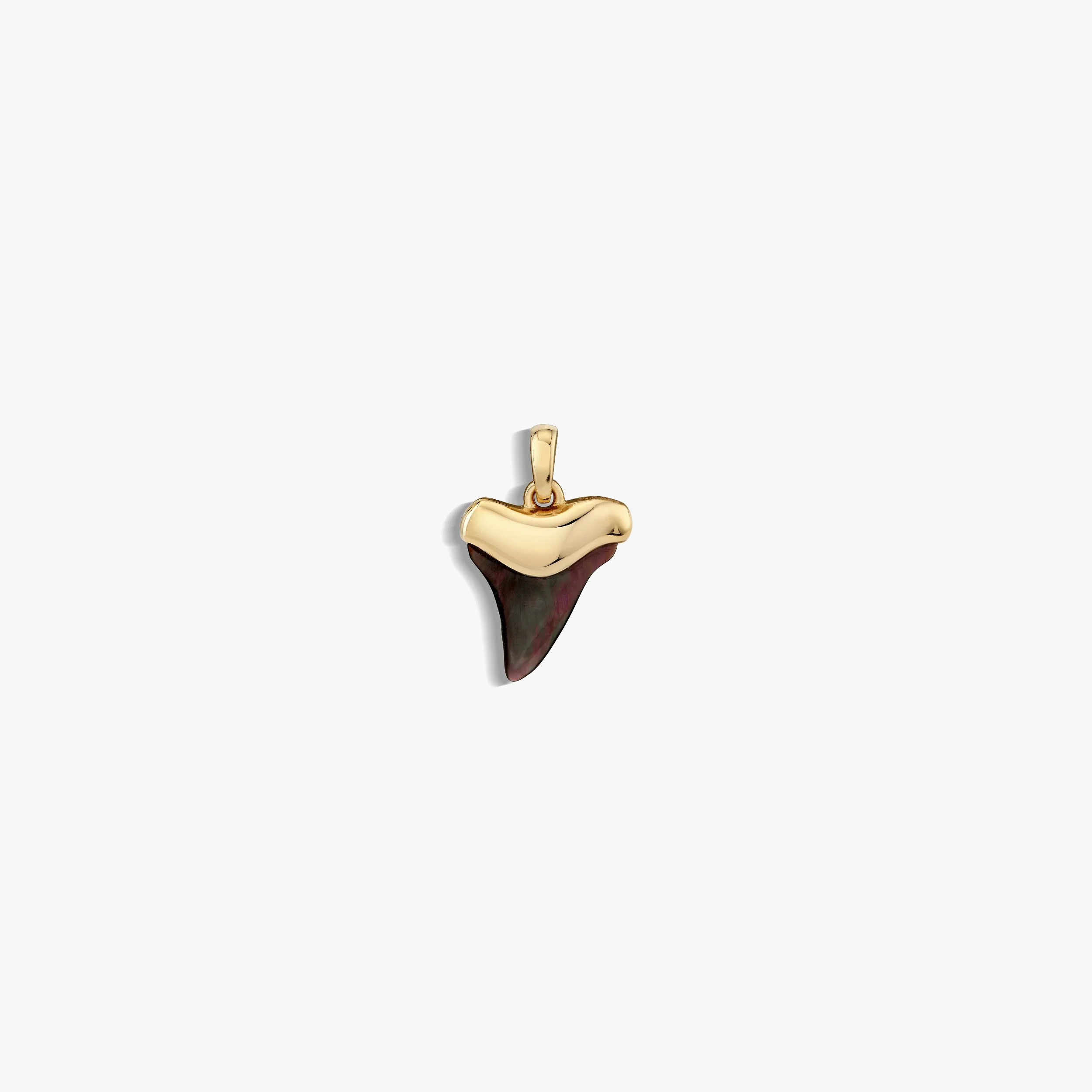 Shark Tooth Amulet - Image 3