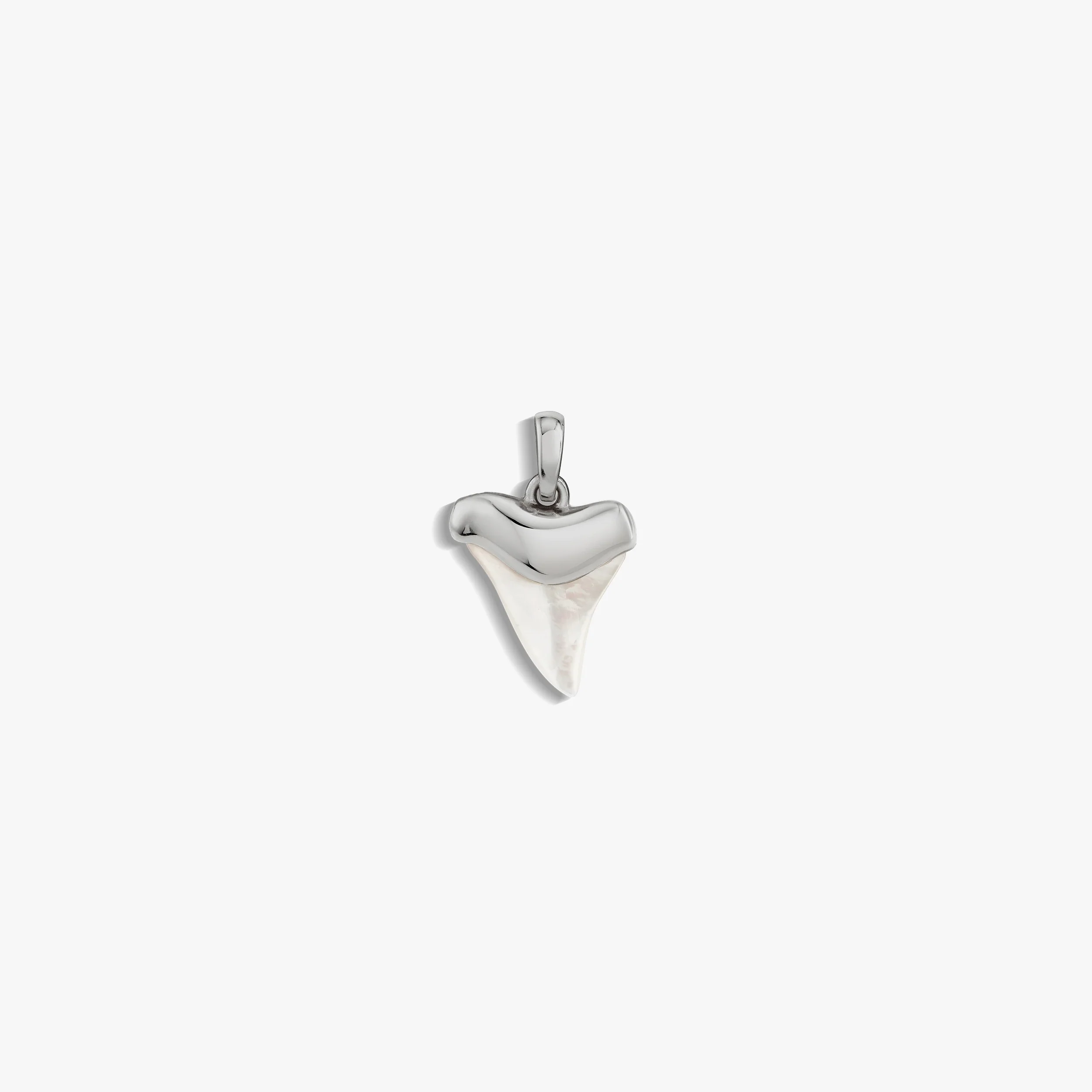 Shark Tooth Amulet - Image 6