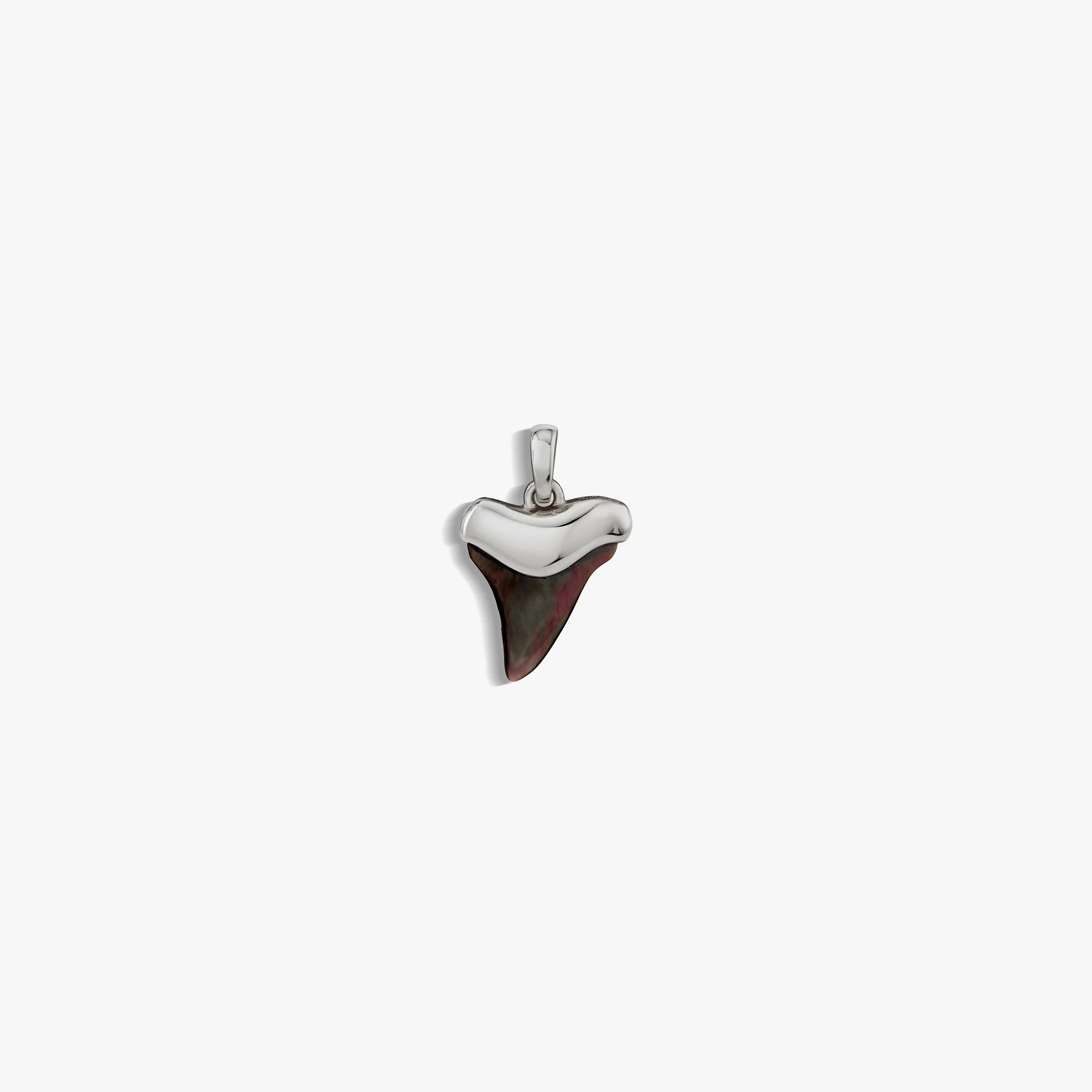 Shark Tooth Amulet - Image 7