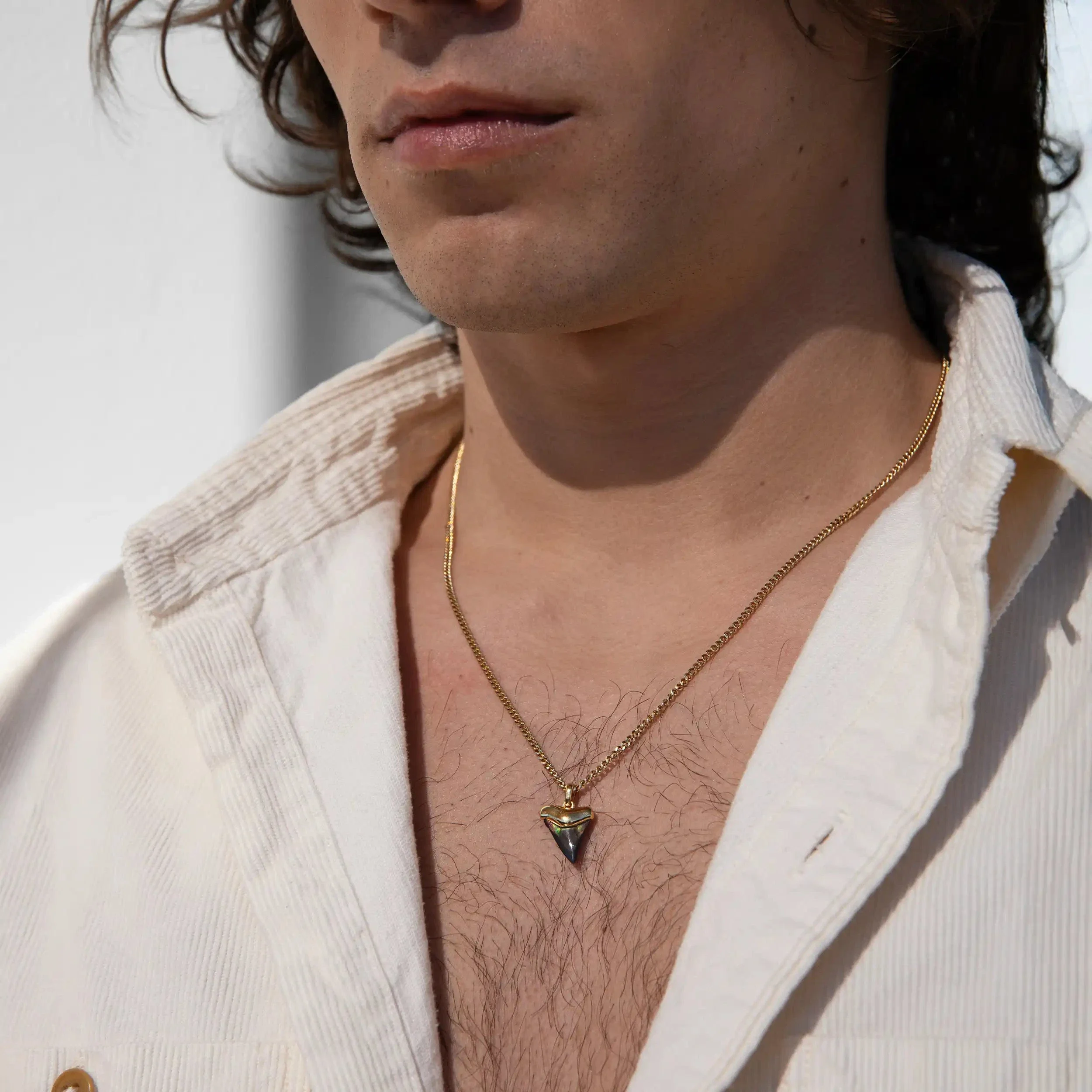 Shark Tooth Necklace - Image 4