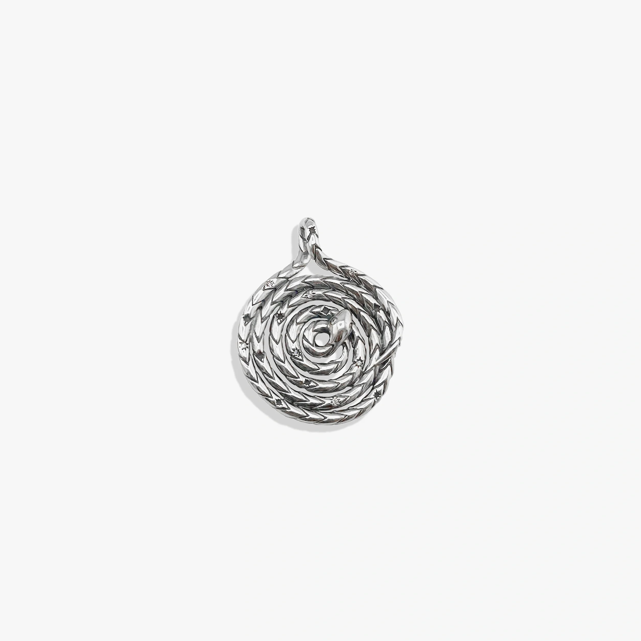 Sapphire Spiral Snake Coin - Image 2
