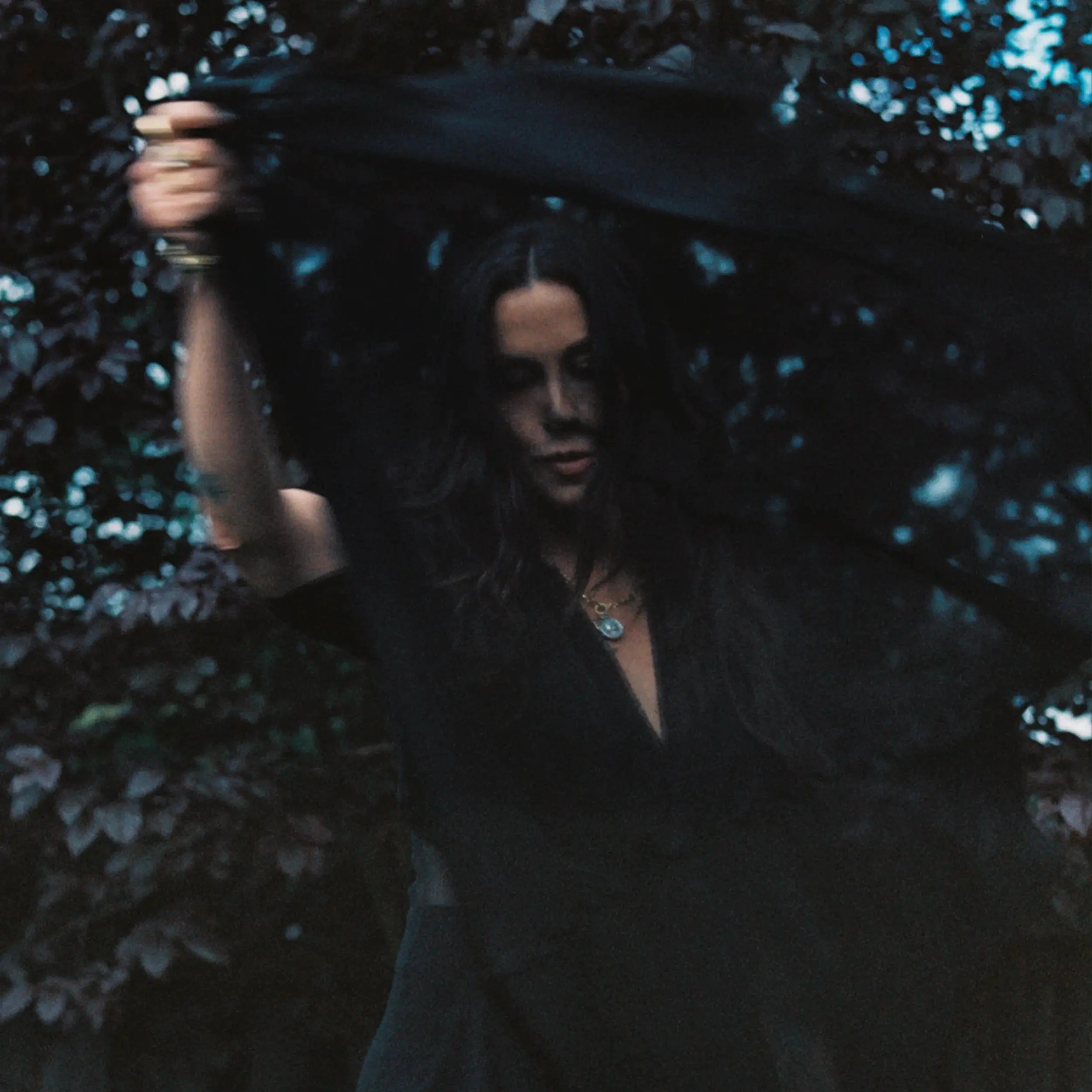 The Storm Before the Calm - Image 6