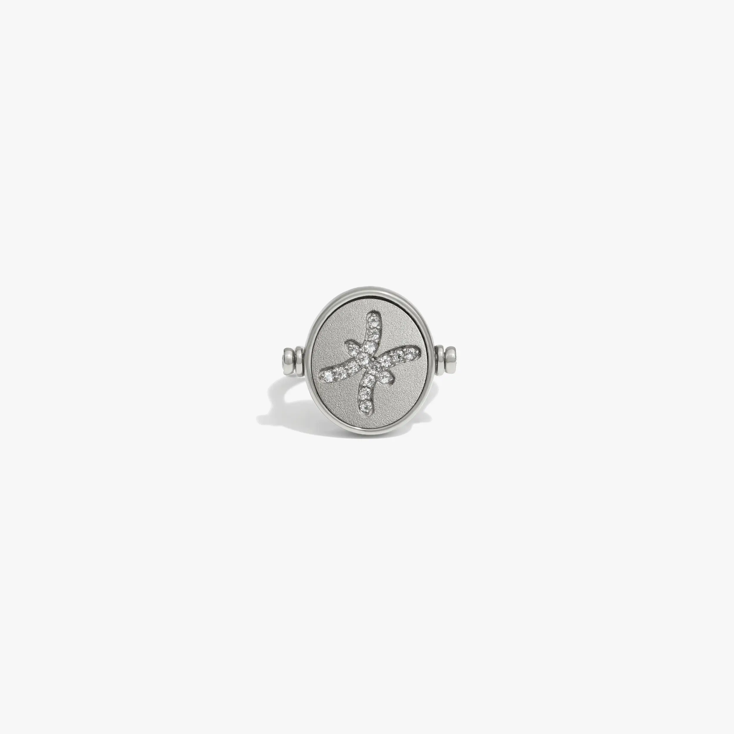 Zodiac + Element Flip Ring - Image 9